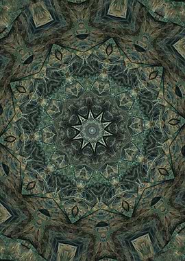 Illustrated Manuscript