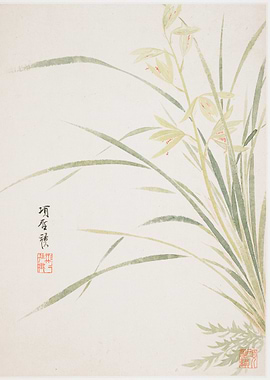 Japanese Orchid Painting