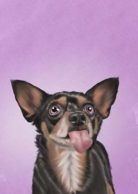 Chihuahua Dog Portrait with Tongue Out