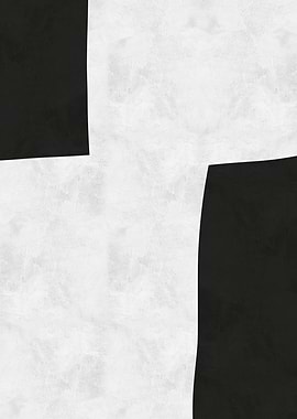 Abstract Black and White Art