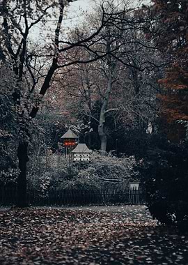 Birdhouse in the Woods