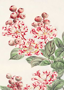 Watercolor Pink Flowers