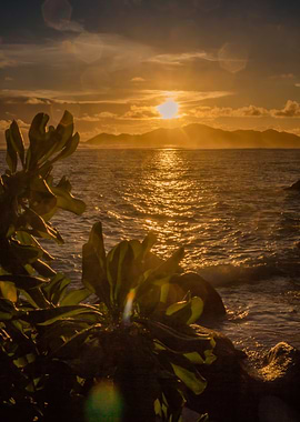 Sunset Over Tropical Sea