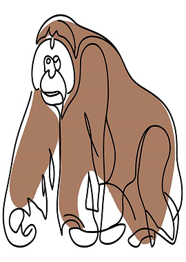 Orangutan Line Art