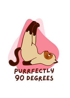 Cat Yoga 90 Degrees