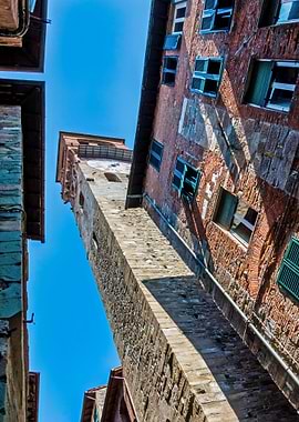 Lucca Guinigi Tower Tall Stone Tower in Italian City
