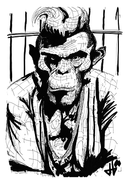 Monkey Jail