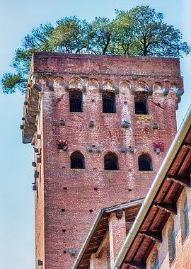 Lucca Guinigi Tower Tall Stone Tower in Italian City