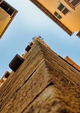 Lucca Guinigi Tower Tall Stone Tower in Italian City