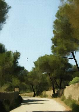 Country Road Through Trees