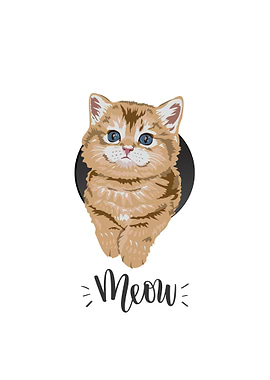 Cute Kitten with Meow