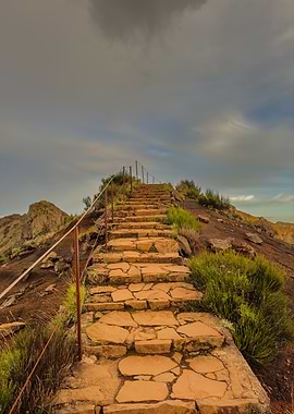 Stone Steps to the Summit