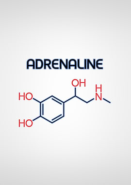 Adrenaline Hormone