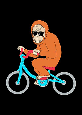 Monkey Riding A Bike