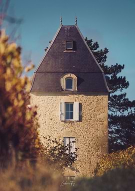 Stone Tower in Bordeaux vineyard