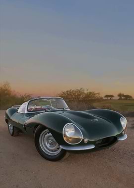 Jaguar D-Type Roadster
