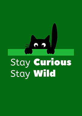 Black Cat Stay Curious Wild