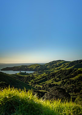 Rolling Green Hills of Coromandel