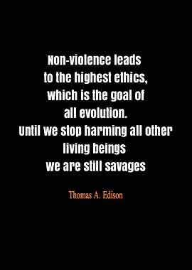 quote by Thomas Edison