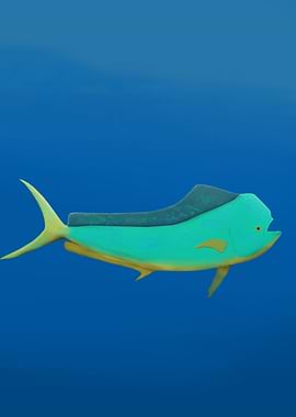 Mahi-Mahi Fish (Dolphin Fish)