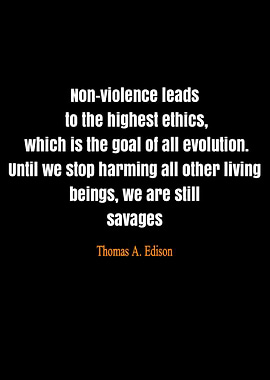 quote Thomas Edison