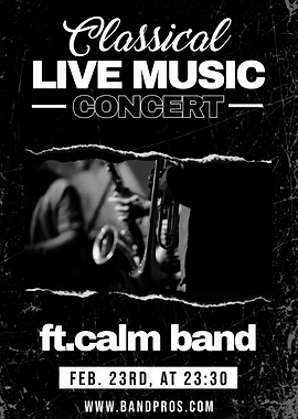 Live Music Concert