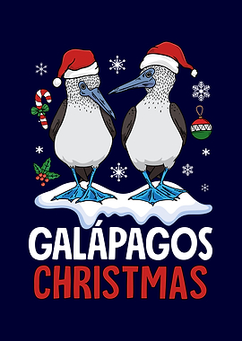 Galapagos Christmas Birds