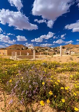 Desert Village with Flowers