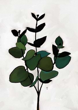 Green Eucalyptus Branch