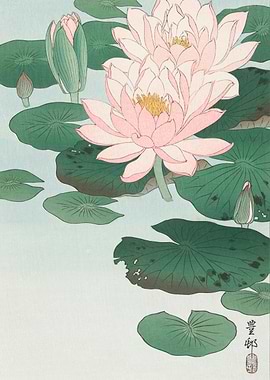 Water Lily Print