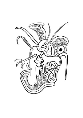 Abstract Doodle Creature