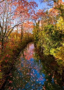 Autumn River Reflections