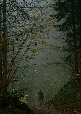Solitary Figure in Foggy Forest