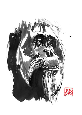 Ink Painting of Orangutan