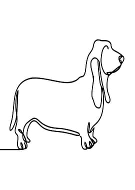 Basset Hound Line Art