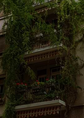 Overgrown Balcony