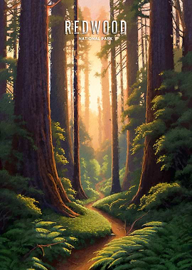 Redwood National Park Sunset