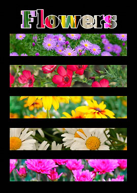 Colorful Flower Collage