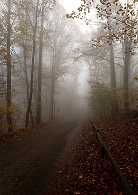Road to Silent Hill