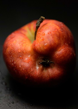 Red Apple with Water Drops