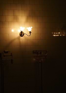 Vintage Bathroom Wall