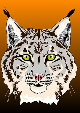 Silver Lynx Portrait