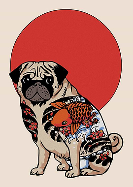 Tattooed Pug with Koi Fish