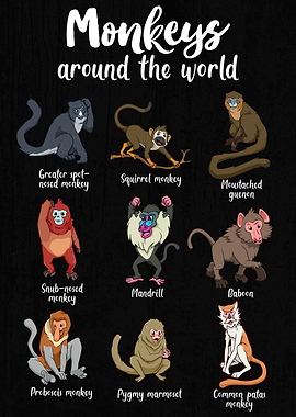 Monkeys Around the World