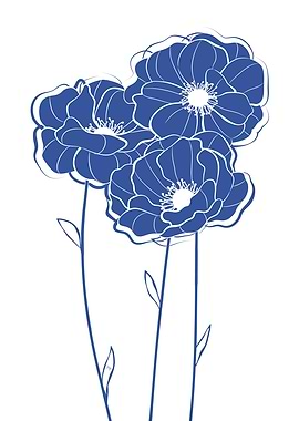 Blue Poppy Flowers
