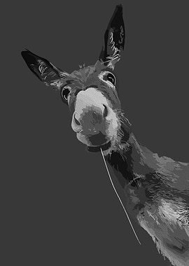 Funny Donkey Grayscale Portrait Art