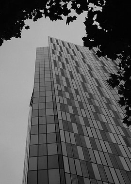 Skyscraper Through The Trees