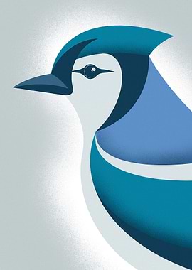 Blue Jay Illustration