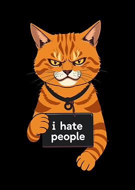 Orange Cat Meme