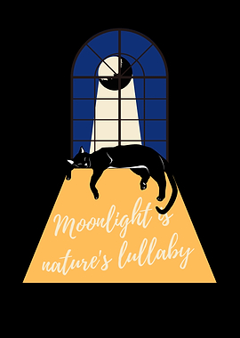 Cat Sleeping in Moonlight